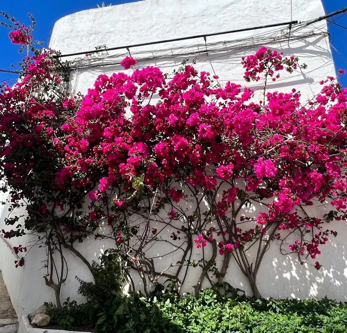 Suite Buganvilla Vejer Vejer de la Frontera Spain