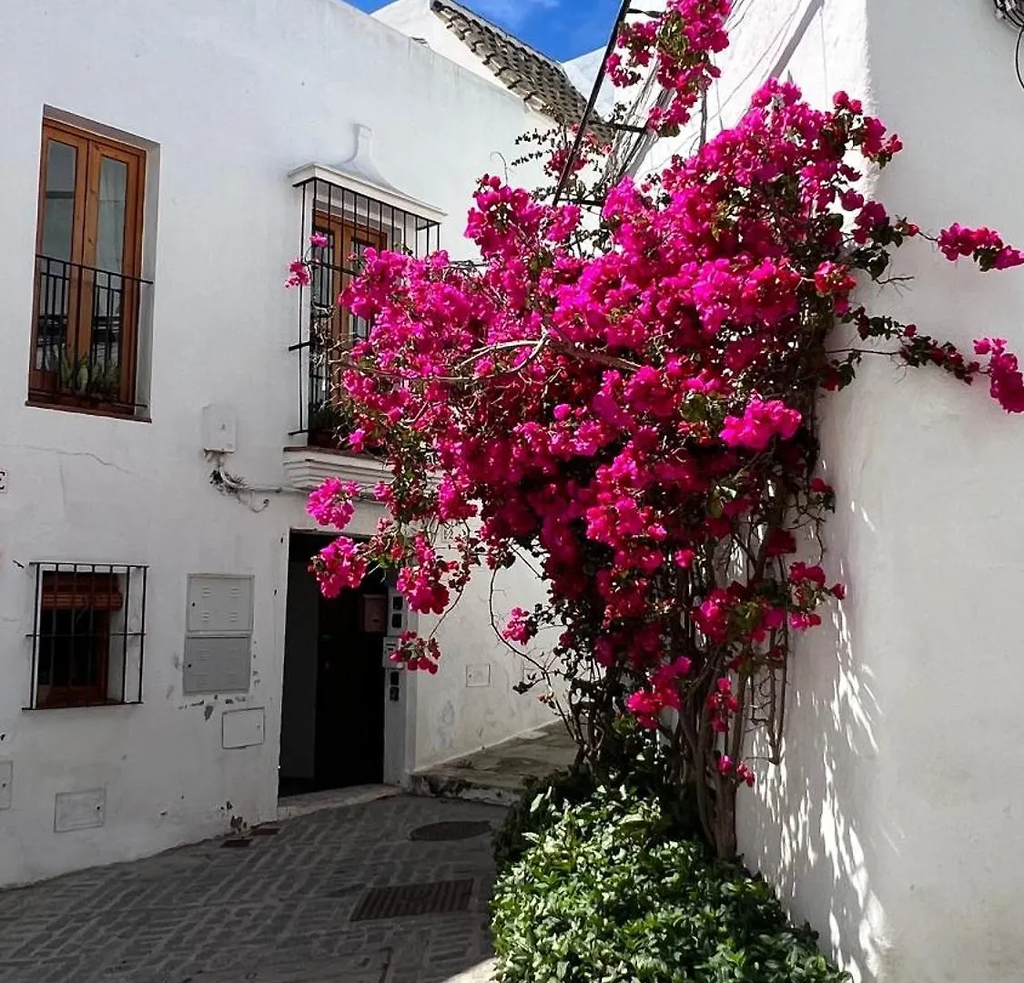 Suite Buganvilla Vejer Vejer de la Frontera Apartment