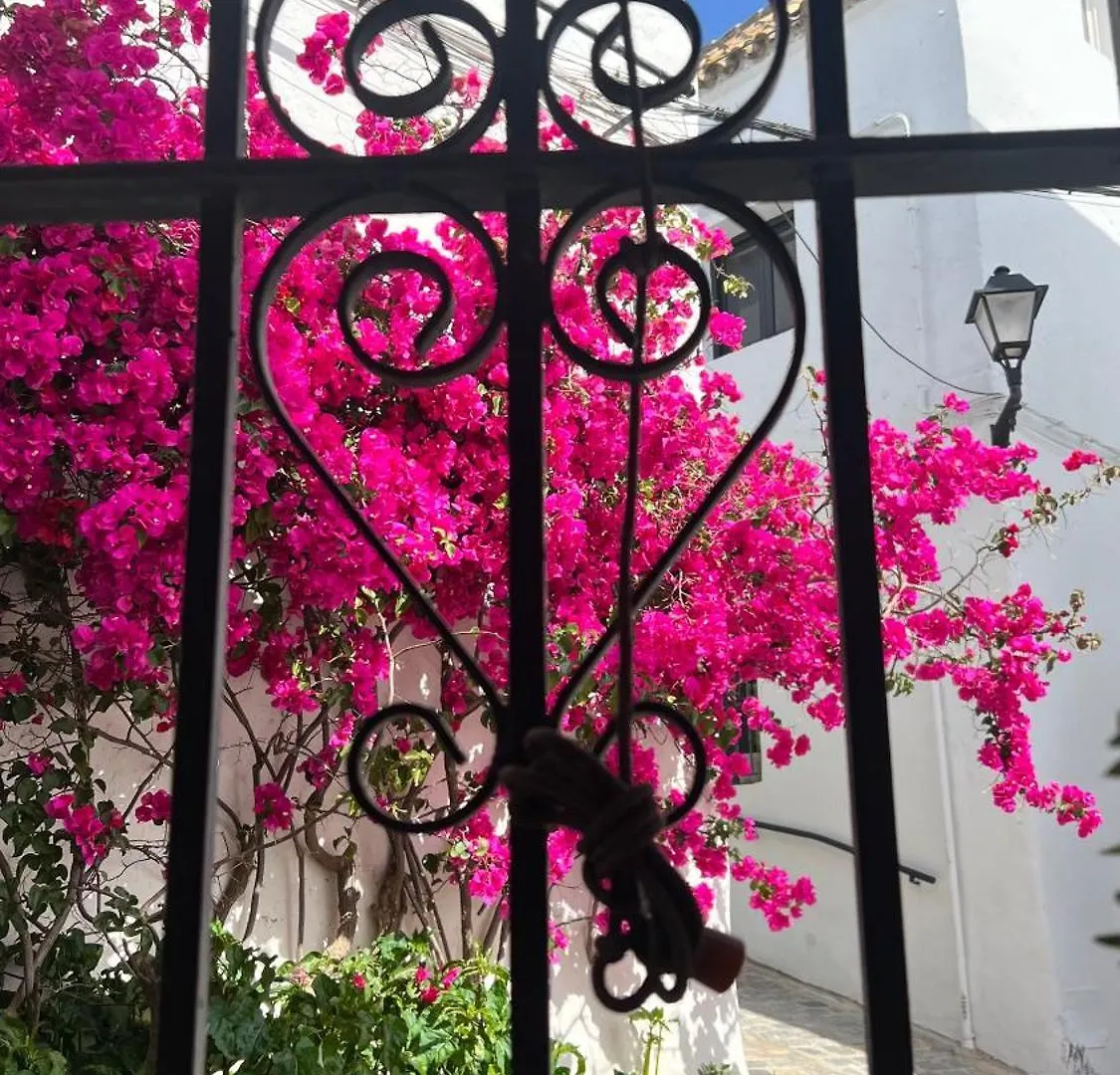Apartment Suite Buganvilla Vejer Vejer de la Frontera