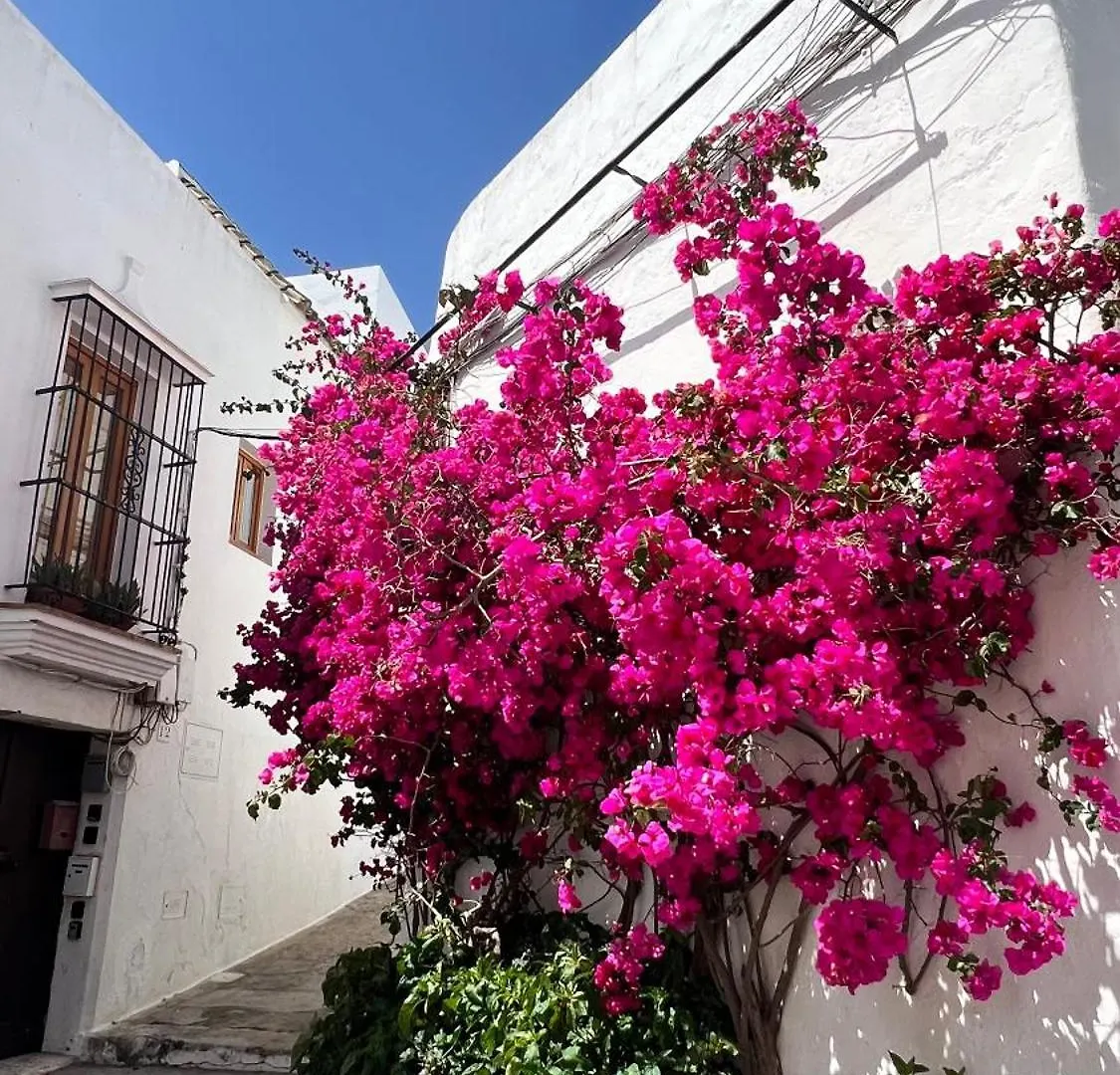 Suite Buganvilla Vejer location